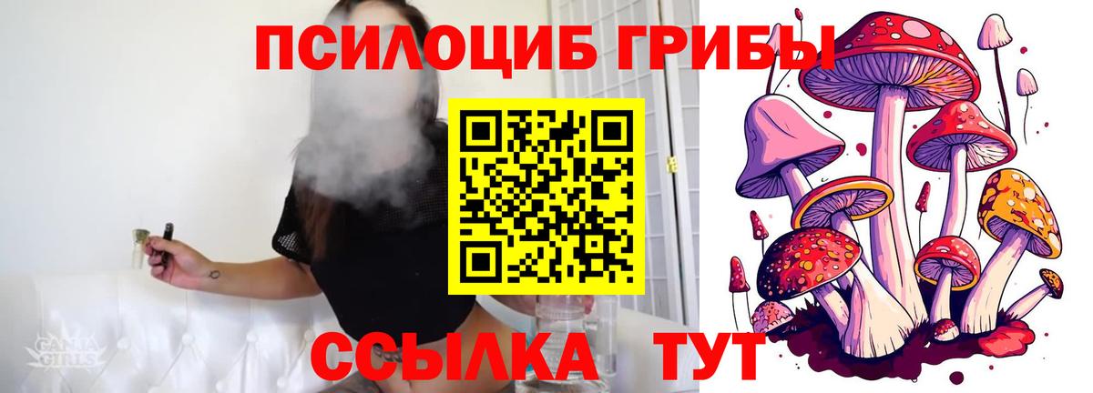 Псилоцибиновые грибы прущие грибы  Вход с VPN  Тамбов 